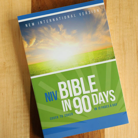 The NIV Bible in 90 Days